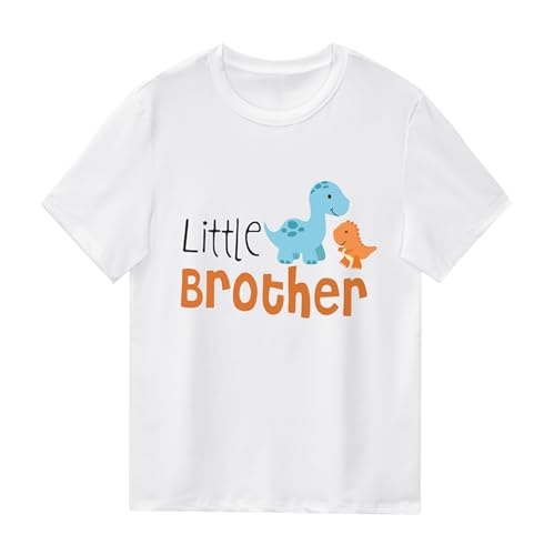 Dinosaur 1-little Brother