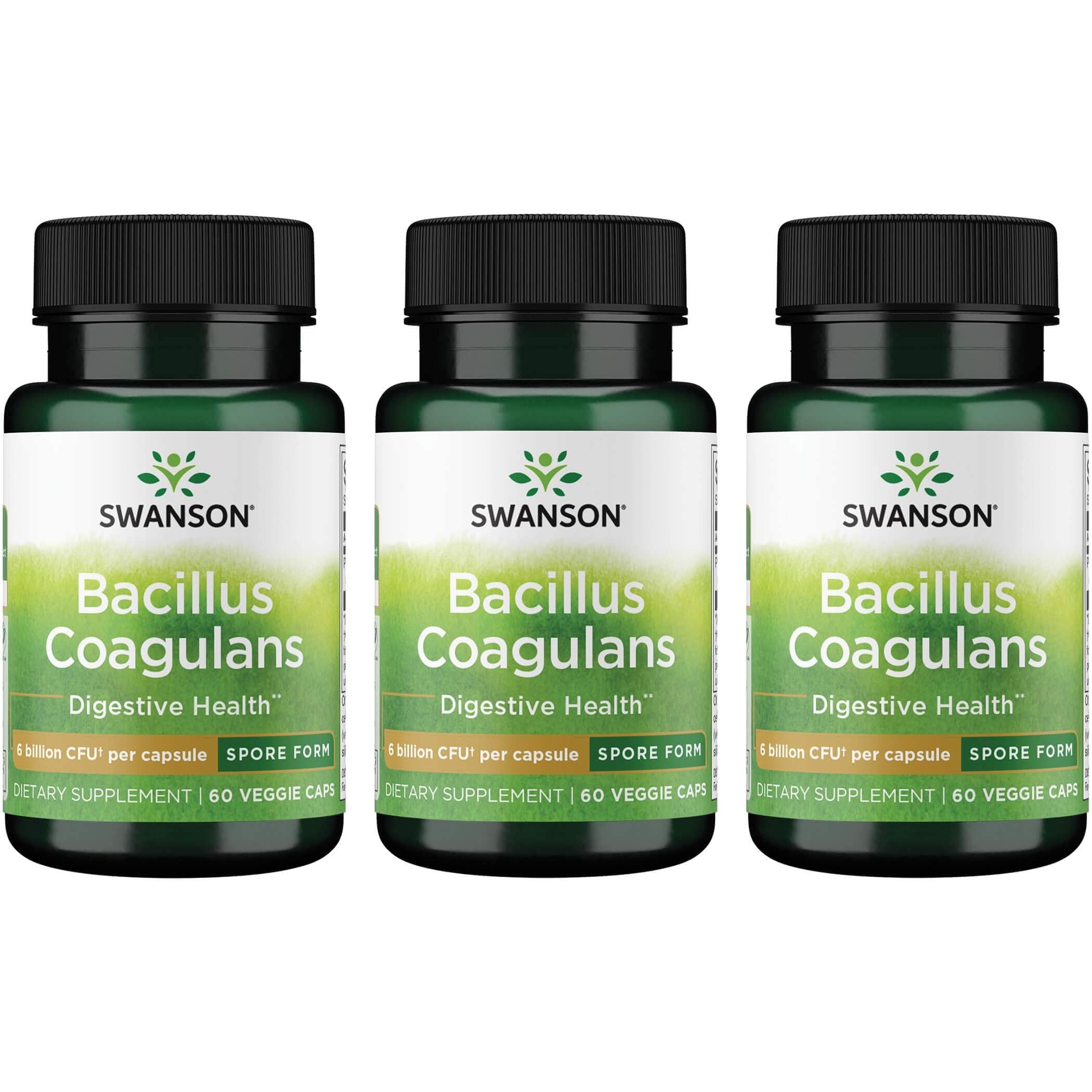 Swanson Bacillus Coagulans Probiotic Supplement - 6 Billion CFU for Digestive & Gut Health - Supports GI Function & Immune System - 60 Vegan Capsules - Ideal for Travel, Daily Wellness & Digestive Comfort