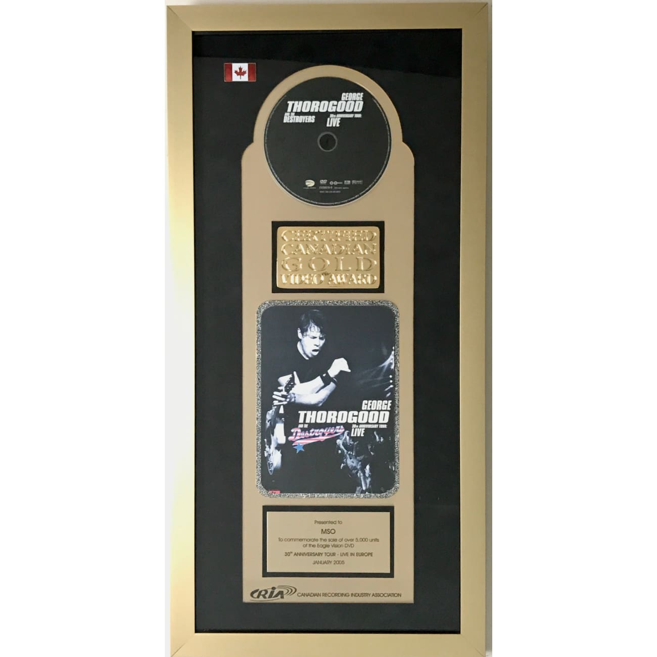 George Thorogood & The Destroyers Live in Europe Concert DVD - CRIA Gold Video Award Winner | Rock Music Performance for Home Entertainment & Gifts