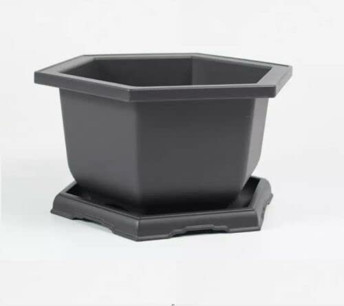 3-Pack Large Plastic Hexagonal Bonsai Training Pots with Drainage Trays + 12 T-Shaped Plant Markers - Perfect for Indoor/Outdoor Bonsai Cultivation, Seed Starting & Garden Organization