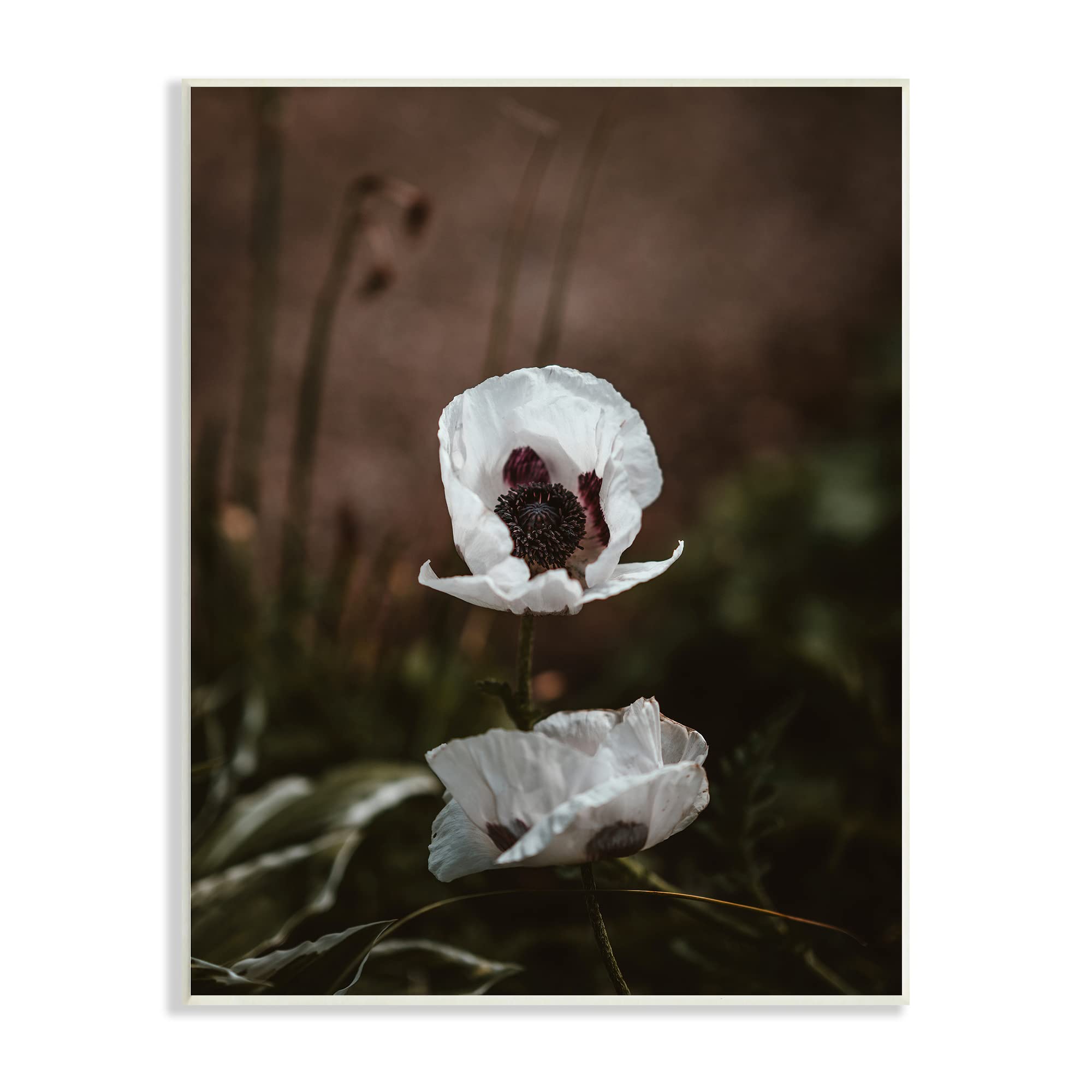 Stupell Industries White Flower Blossom Forest Photography Wall Art - Nature Inspired Home Decor for Living Room, Bedroom & Office - Designed by Incado