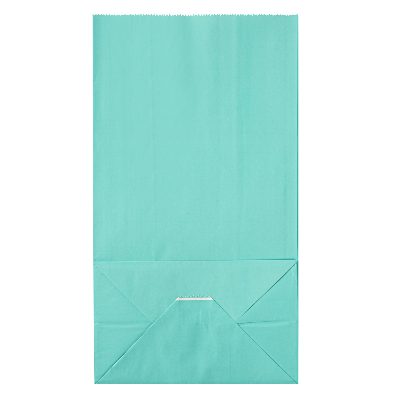 Premium Turquoise Paper Bags - 12 lb Weight Capacity, 7 x 4.25 x 12.5 Inches, 100 Count Box - Perfect for Gift Wrapping, Party Favors & Retail Packaging