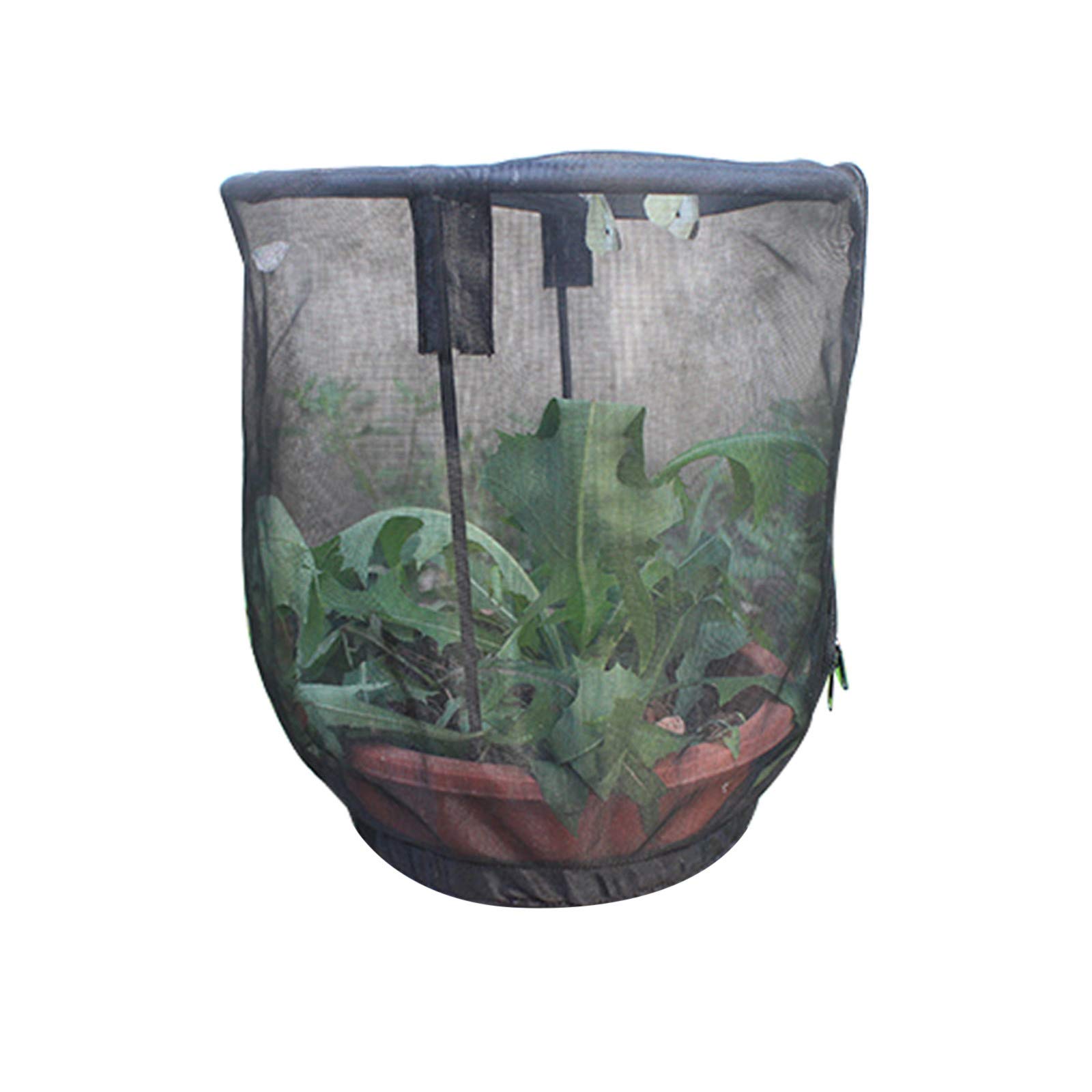 Metal Plant Cage Net Pot - Gold Flower Stand for Garden, Patio, Lawn & Outdoor Decor | Perfect for Supporting Climbing Plants and Ornamental Flowers