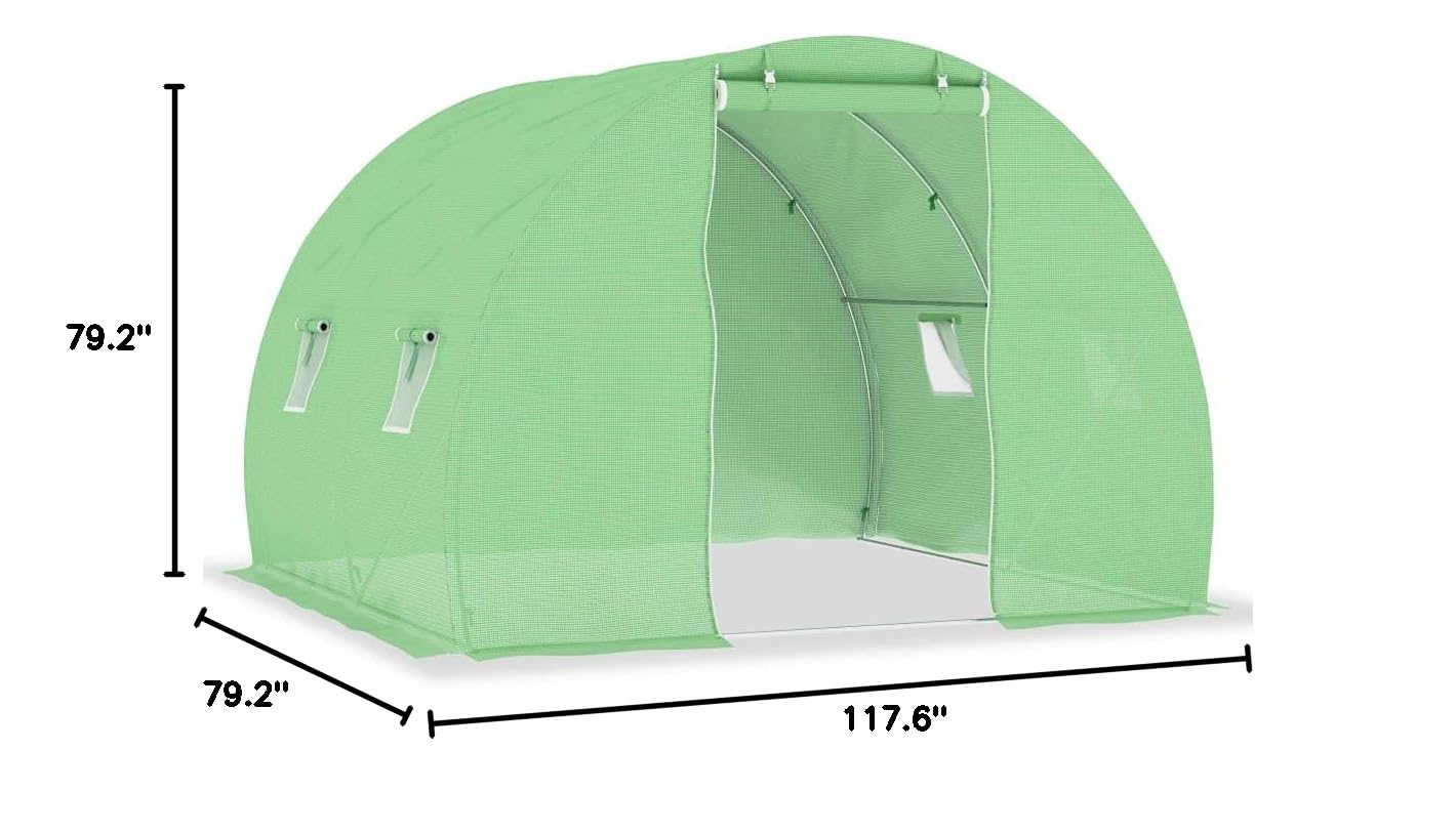 Walk-in Greenhouse Tent 9.8'x6.6'x6.6' (64.6 ft²) with Roll-Up Entry Doors & Side Windows - Outdoor Plant Gardening Shelter for Vegetables, Flowers & Seedlings - Perfect for Backyard, Patio & Small Farm Use
