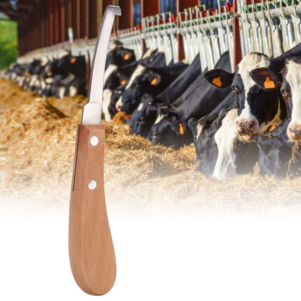 Premium Carbon Steel Straight Hoof Trimming Knife for Horses, Goats & Cattle - Right Hand Professional Grooming Tool for Stable, Farm & Veterinary Care