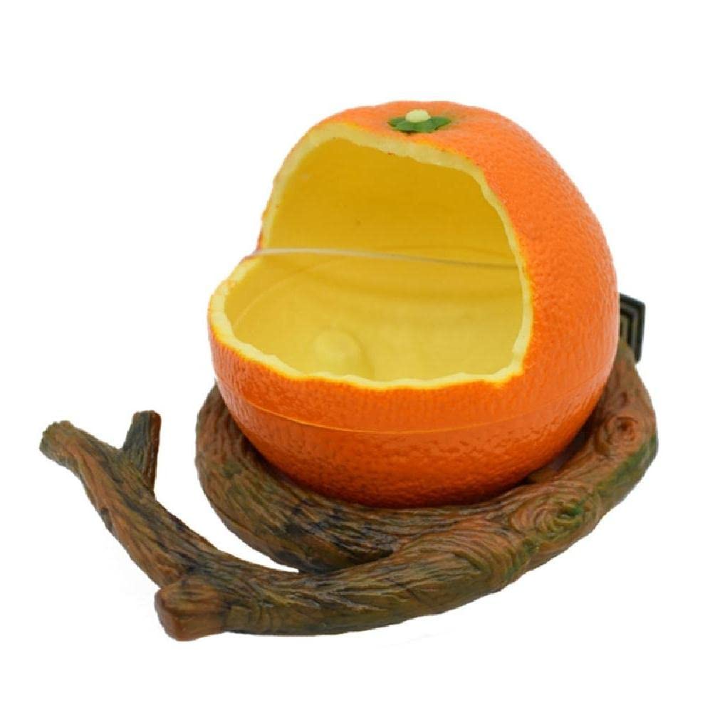 Plastic Parrot Feeding Box - Outdoor Garden Fruit Branch Feeder for Pet Birds