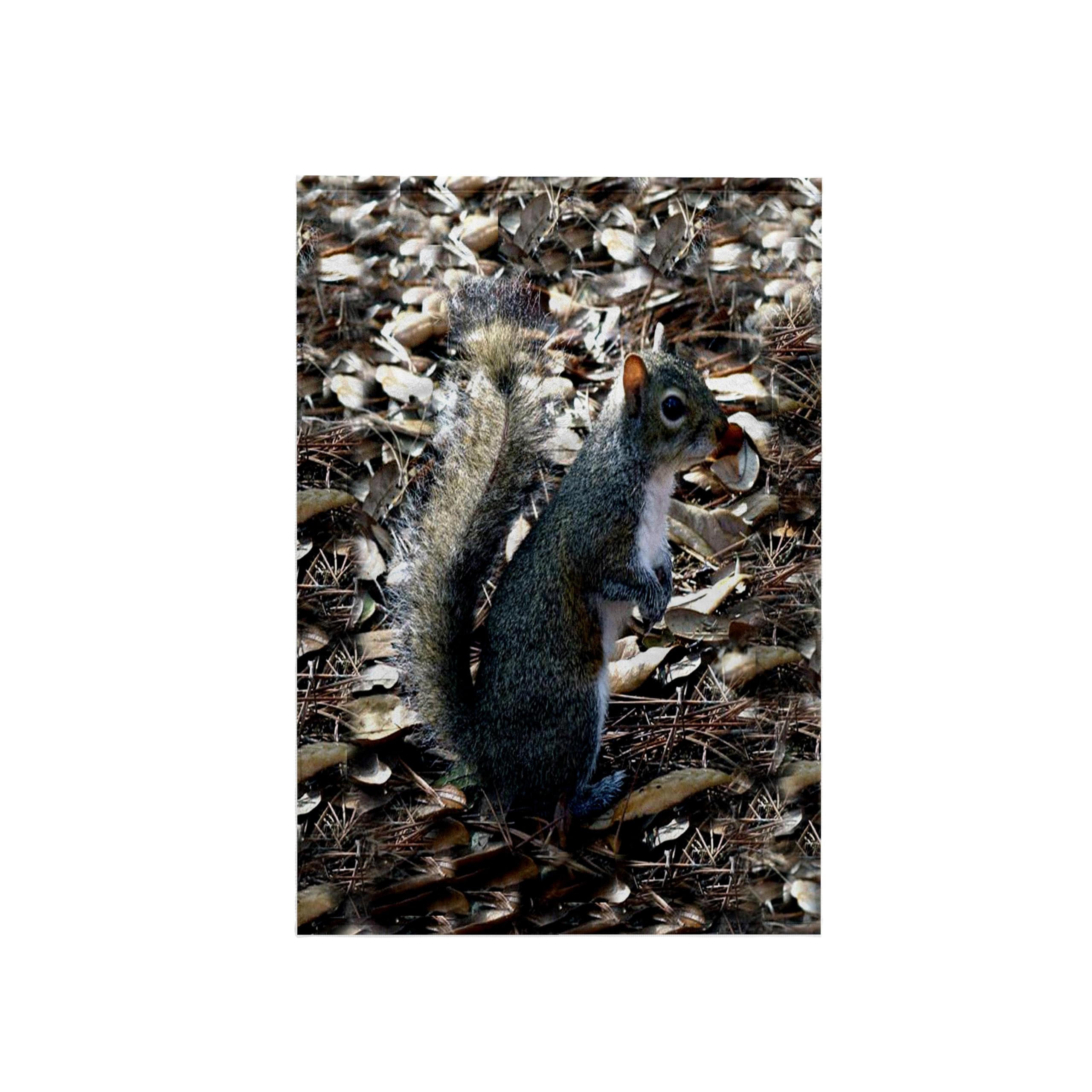 3D Rose Gray Squirrel Printed Kitchen Towel Set - 15x22 Inches Absorbent Dish Cloths for Drying Hands & Dishes - Cute Animal Themed Home Decor for Kitchen, Bathroom, and Gift Giving