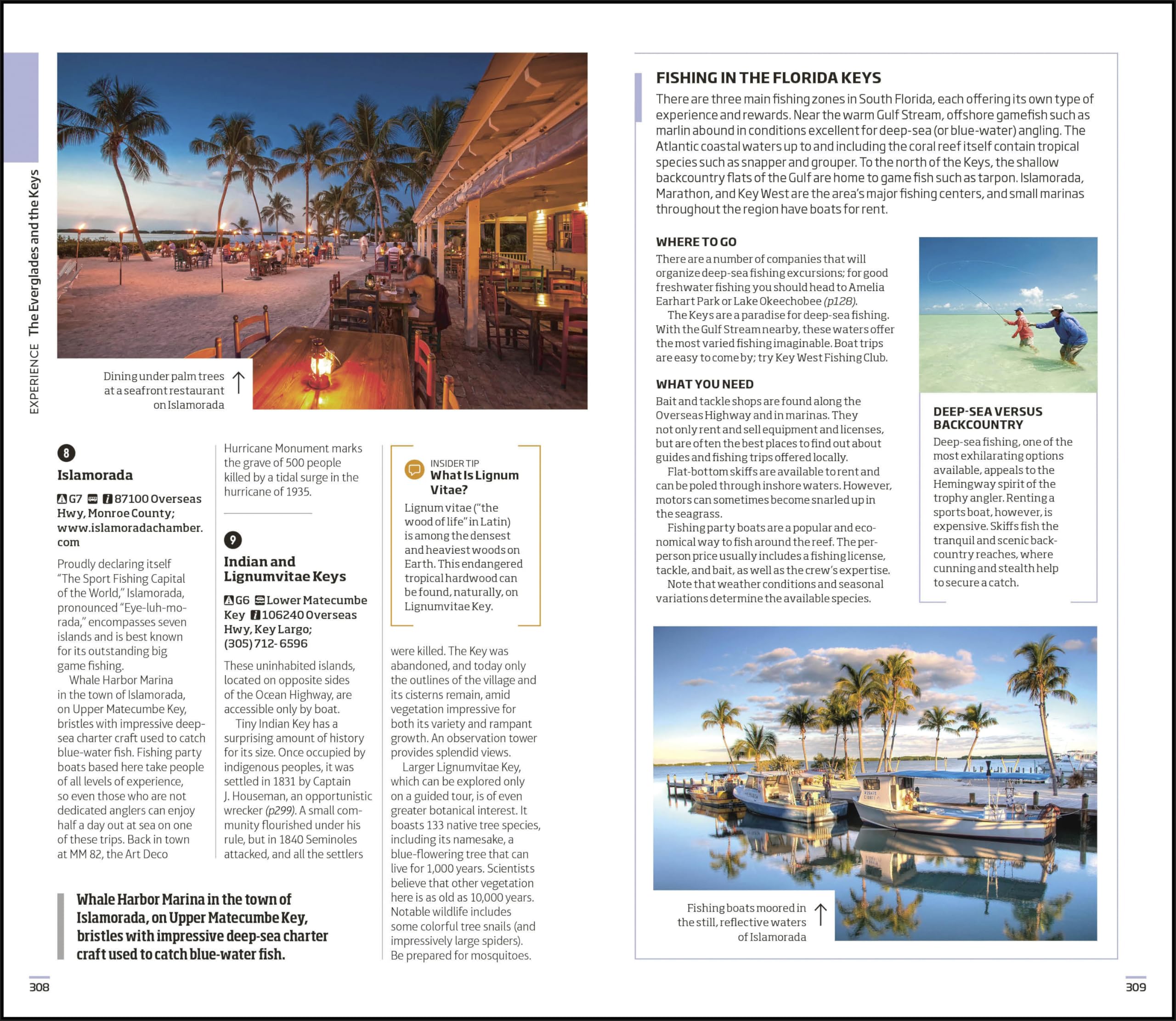 DK Florida Travel Guide - Explore Top Attractions, Beaches & Hidden Gems | Perfect for Vacation Planning & Road Trips
