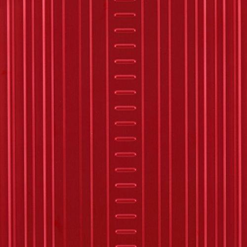 Aleon 20 Inch Vertical Carry On Aluminum Hardside Luggage - Lightweight Business Briefcase with Spinner Wheels (Ruby Red) - Perfect for Air Travel, Business Trips & Weekend Getaways