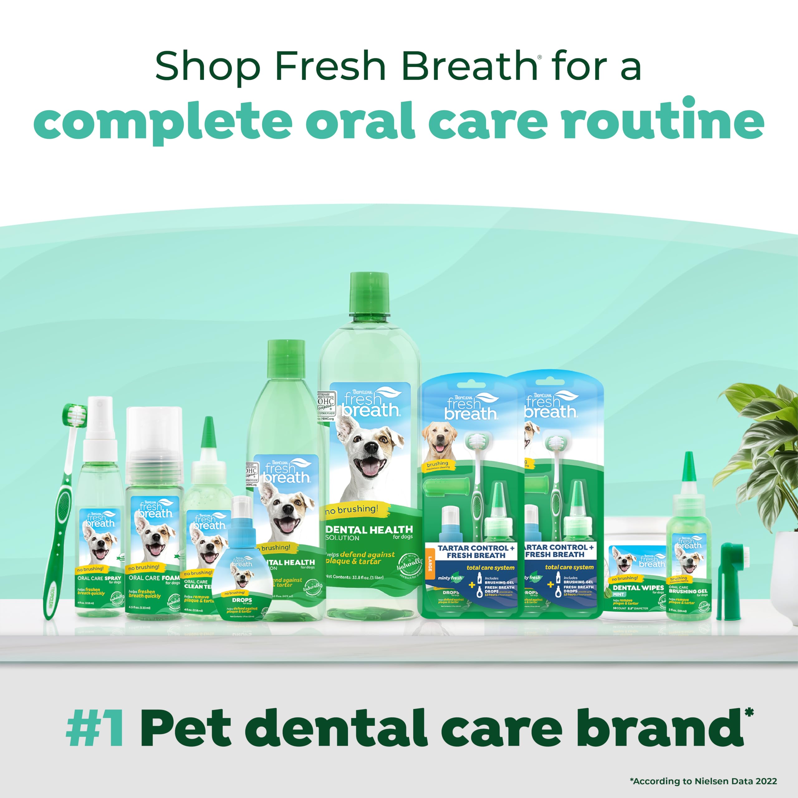 TropiClean Fresh Breath Dog Oral Care Kit - Complete Plaque & Tartar Control System for Small & Medium Dogs | Dog Teeth Cleaning Kit with Toothbrush & Toothpaste | Perfect for Daily Dental Hygiene & Fresh Breath at Home