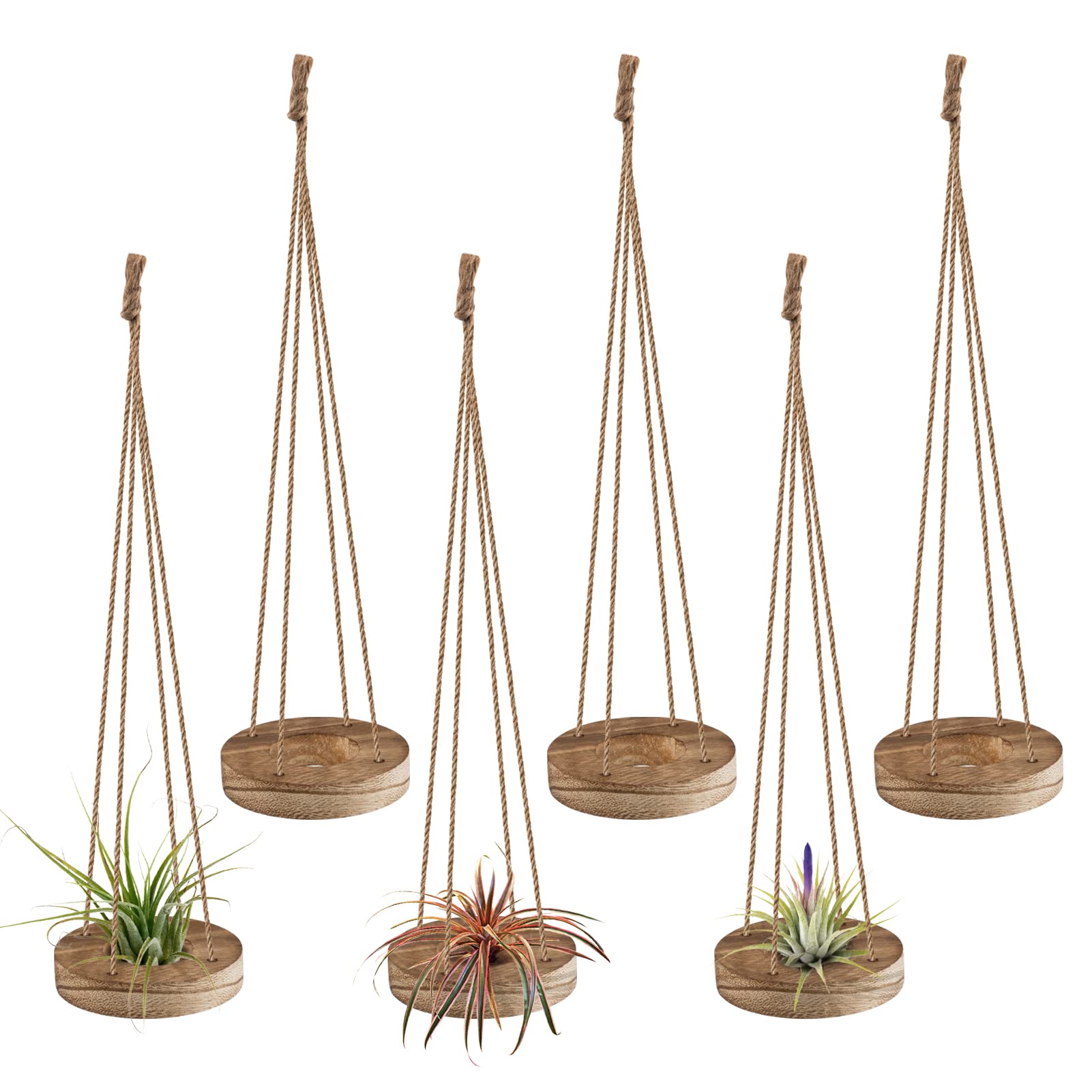 6 Pcs Hanging Wooden Air Plant Holders - 3 Inch Round Wooden Tillandsia Hangers with Jute Ropes, Rustic Air Plant Stand for Succulent Display | Home Office Decor, Wedding Party Favors, Gardening Gifts (Plants Not Included)
