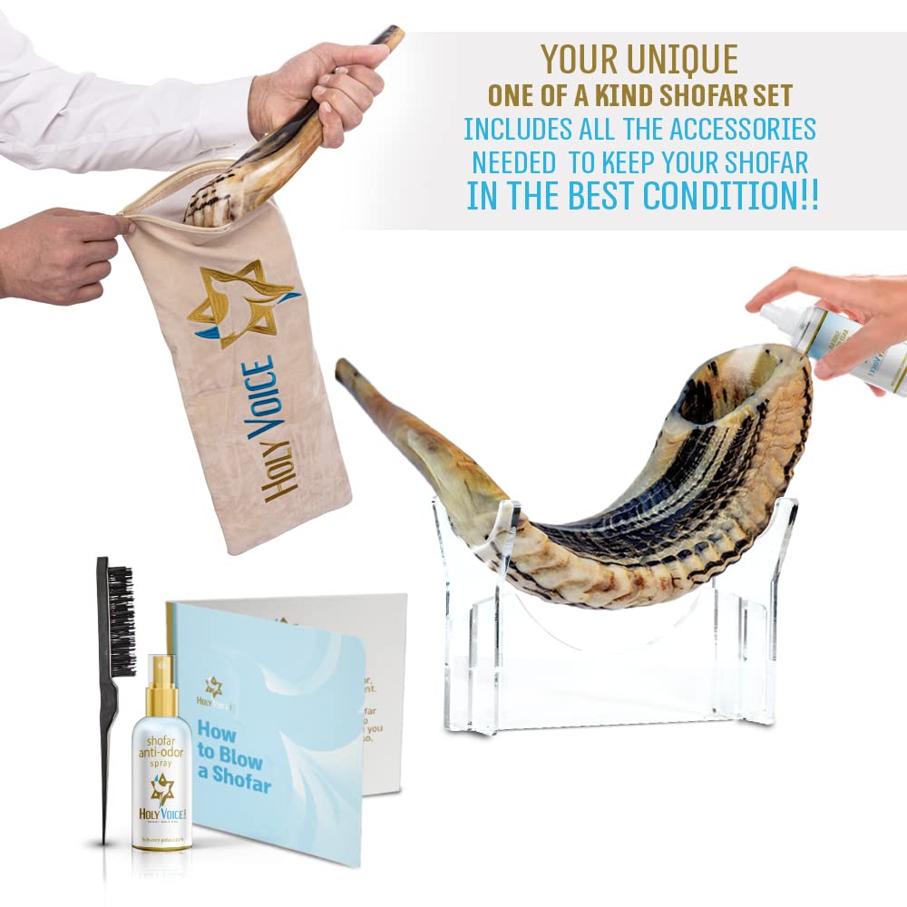 Holy Voice Handcrafted Kosher Ram Shofar from Israel 18