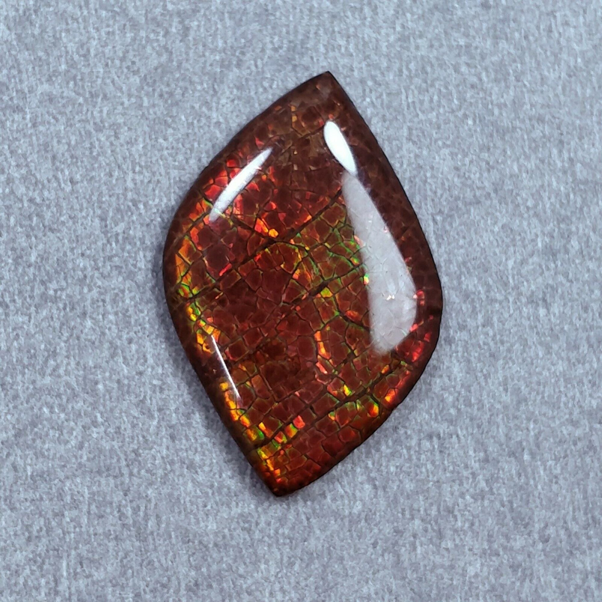 Natural AMMOLITE Gemstone Cabochon - Bi-Color Fossilized Shell, 23.5x15mm & 26x16mm, Handmade Jewelry Making, Unique Uneven Shape - Perfect for Rings, Pendants & DIY Craft Projects