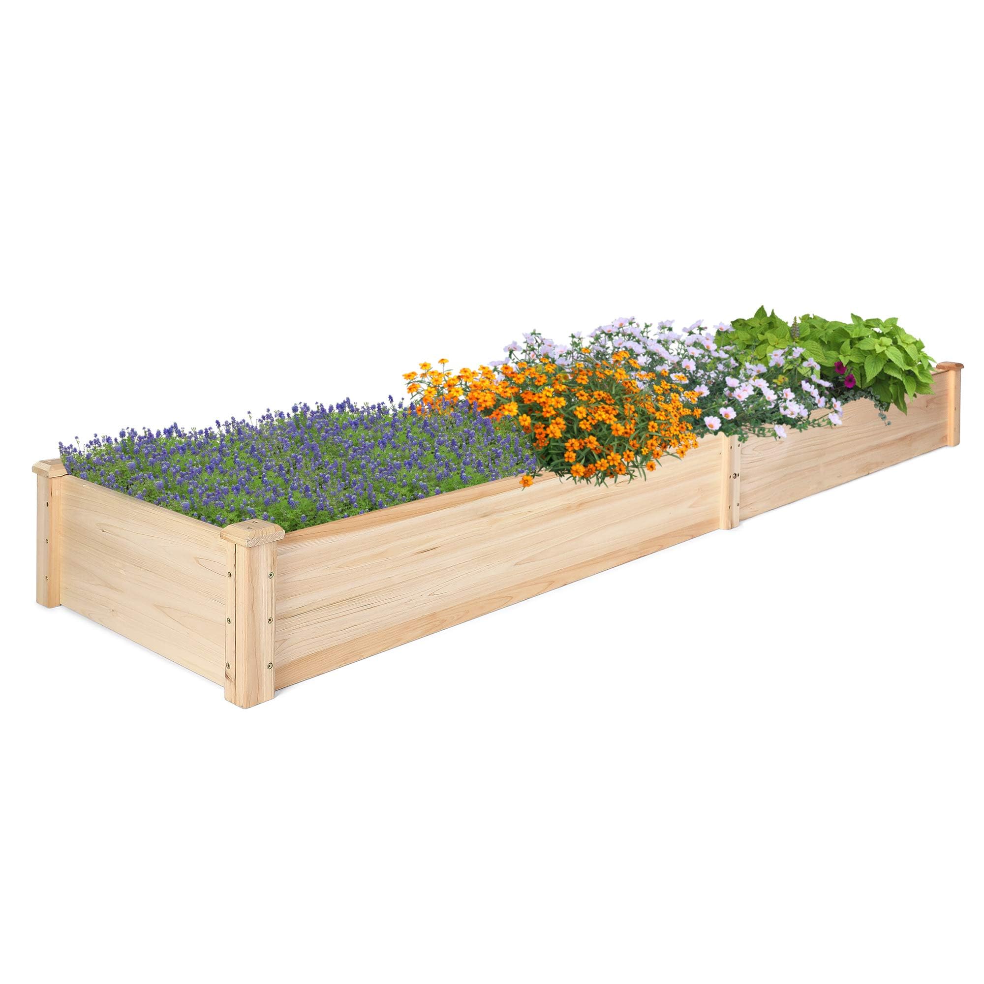 8x2 ft Wooden Raised Garden Bed Kit - Outdoor Elevated Planter Box for Vegetables, Flowers & Herbs | Perfect for Patio, Balcony, Backyard Gardening & Urban Farming