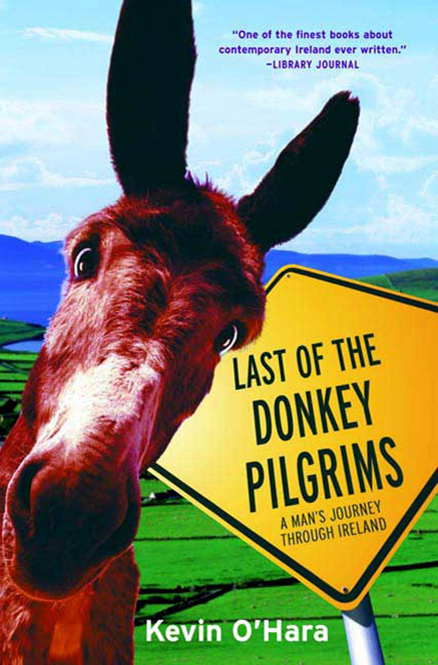 Last of the Donkey Pilgrims: A Man's Journey Through Ireland - Travel Memoir & Irish Adventure Story for Hikers and Cultural Explorers