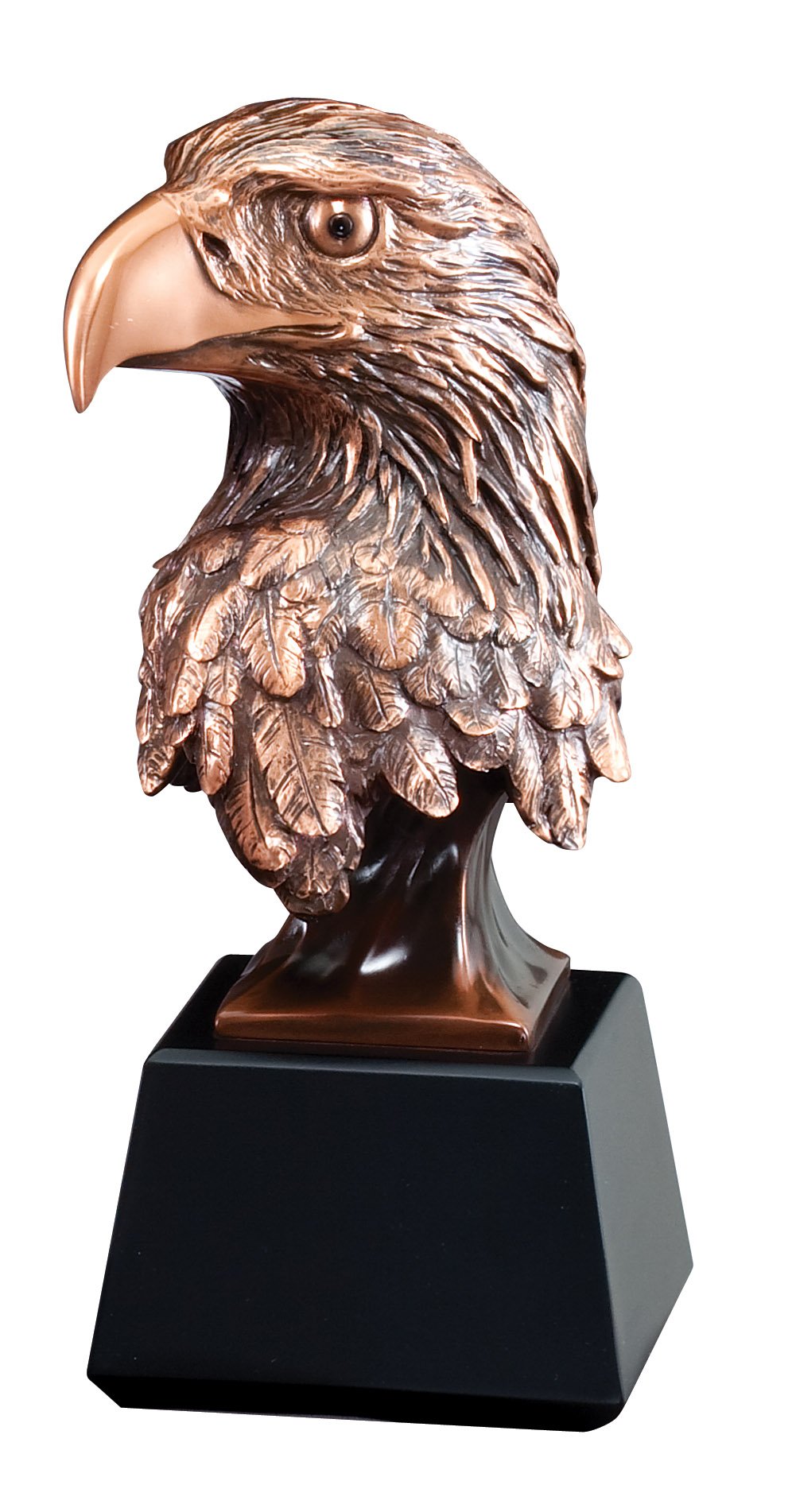 Bronze Eagle Head Trophy on Black Base with Custom Copper Engraving Plate - Personalized Awards & Gifts for Military, Corporate, Retirement & Achievement Ceremonies