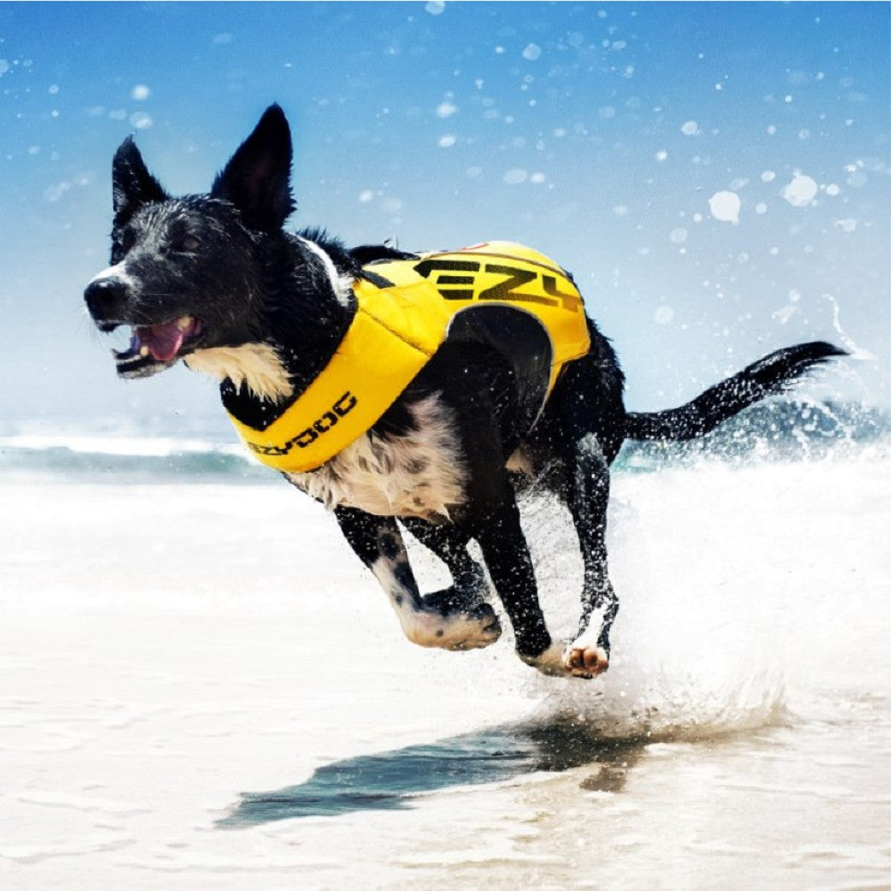 DFD X2 Boost Dog Life Jacket - High Visibility Pet Safety Vest for Swimming & Boating - Adjustable & Reflective Dog Floatation Device for Small Medium Large Breeds - Perfect for Pool, Beach & Water Adventures