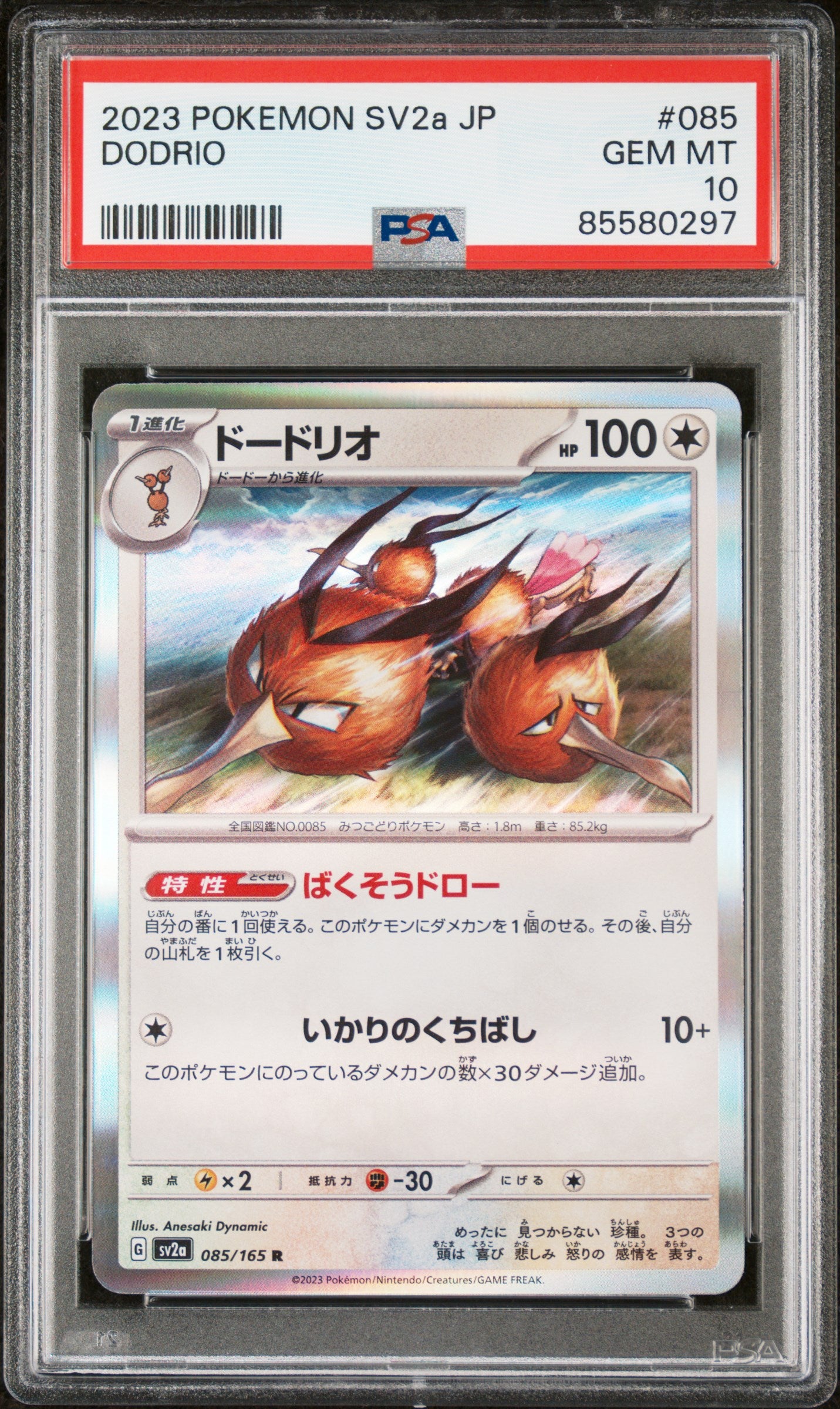 2023 Pokemon Japanese SV2a Pokemon 151 Dodrio #85 PSA 10 Graded Card - Rare Collectible for Pokemon TCG Fans & Competitive Players - Perfect for Display, Trading, and Gaming Battles