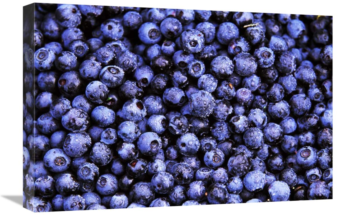 16 x 24 Inch Bilberry Close-Up Art Print - Harvested Berries North America Landscape by Jan Vermeer | Perfect for Kitchen, Dining Room & Office Wall Decor