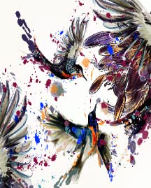 Hummingbird Art
