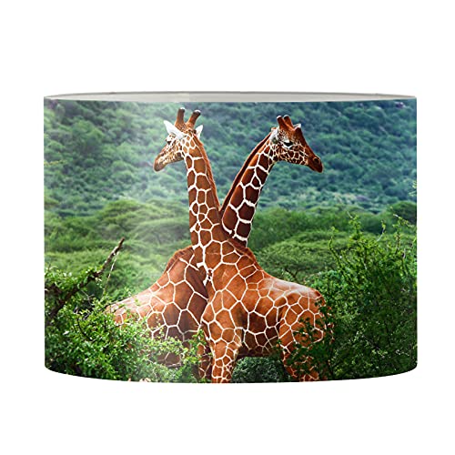 Giraffes