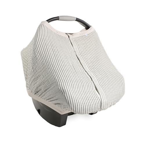 Grey Stripe