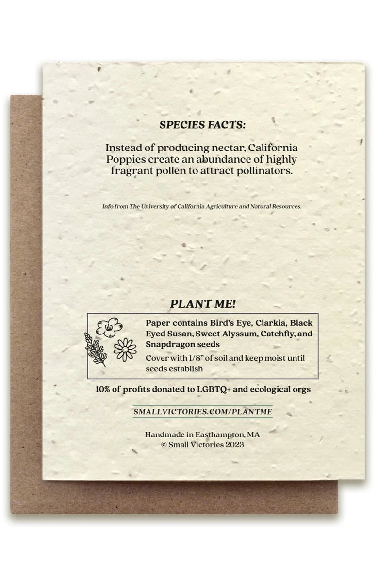 Eco-Friendly California Poppy Seeded Greeting Card - Plantable Wildflower Gift for Birthdays, Weddings & Earth Day Celebrations