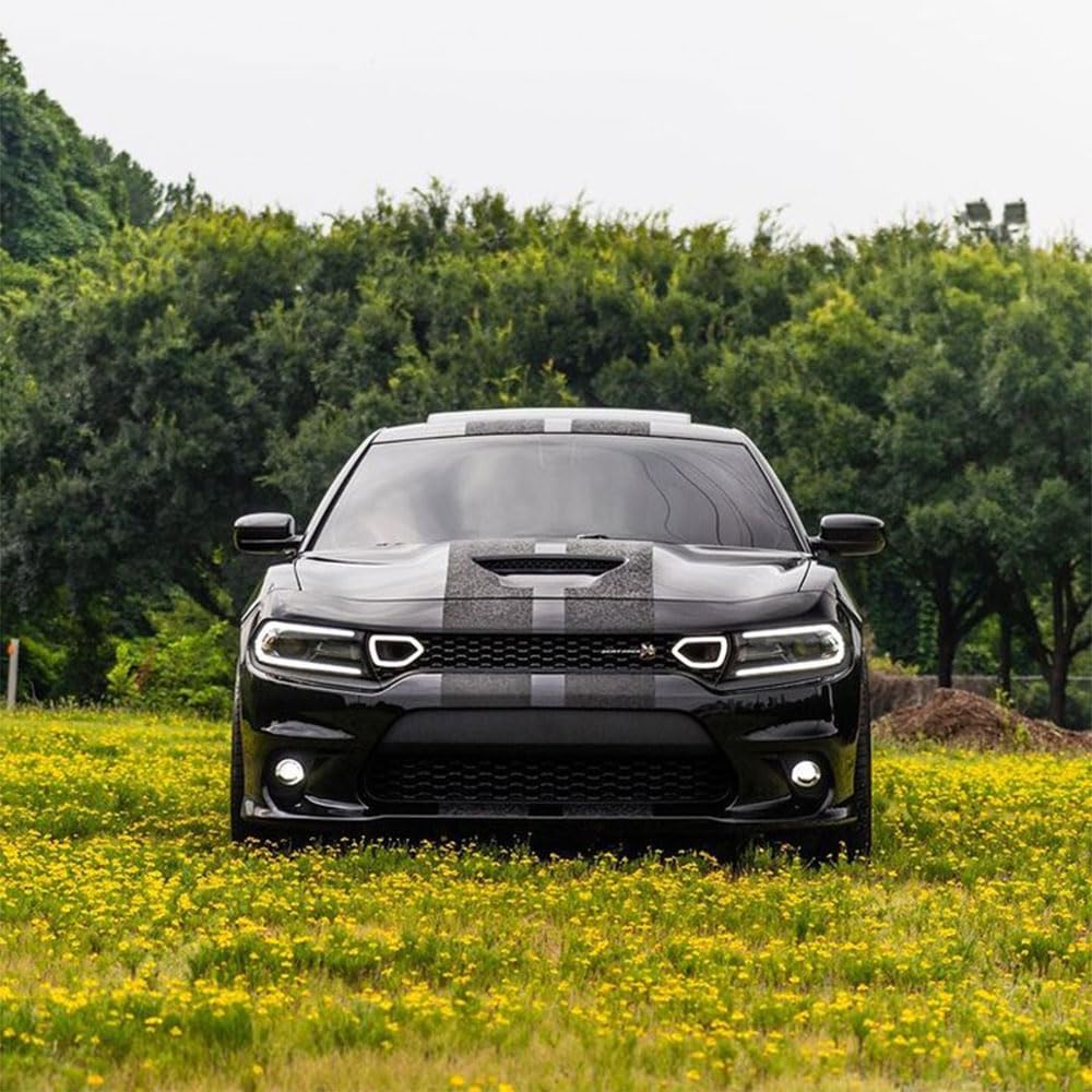 Vicrez LED Lights for SRT Grilles vz102173 - Compatible with Dodge Charger 2015-2022 | Upgrade Your Car's Front Grille Lighting for Enhanced Style & Night Visibility