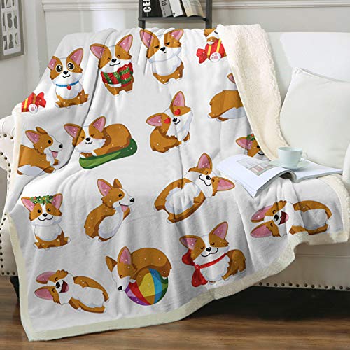 Cute Corgi