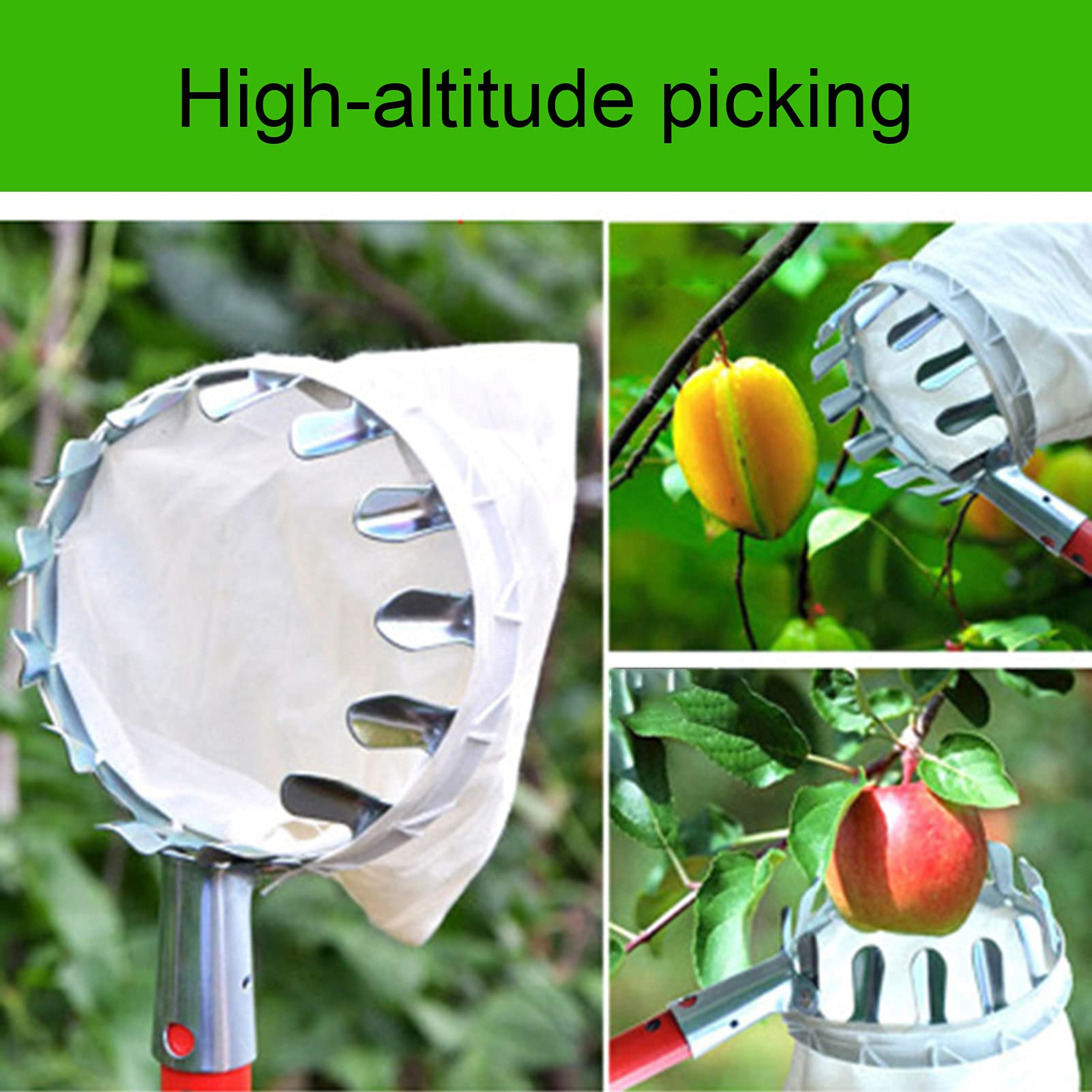 Stainless Steel Fruit Picker Tool with Basket - Extendable Cherry, Apple, Pear, Peach & Citrus Harvester for Home Garden Harvesting | Perfect for Backyard Orchards and Small Farms