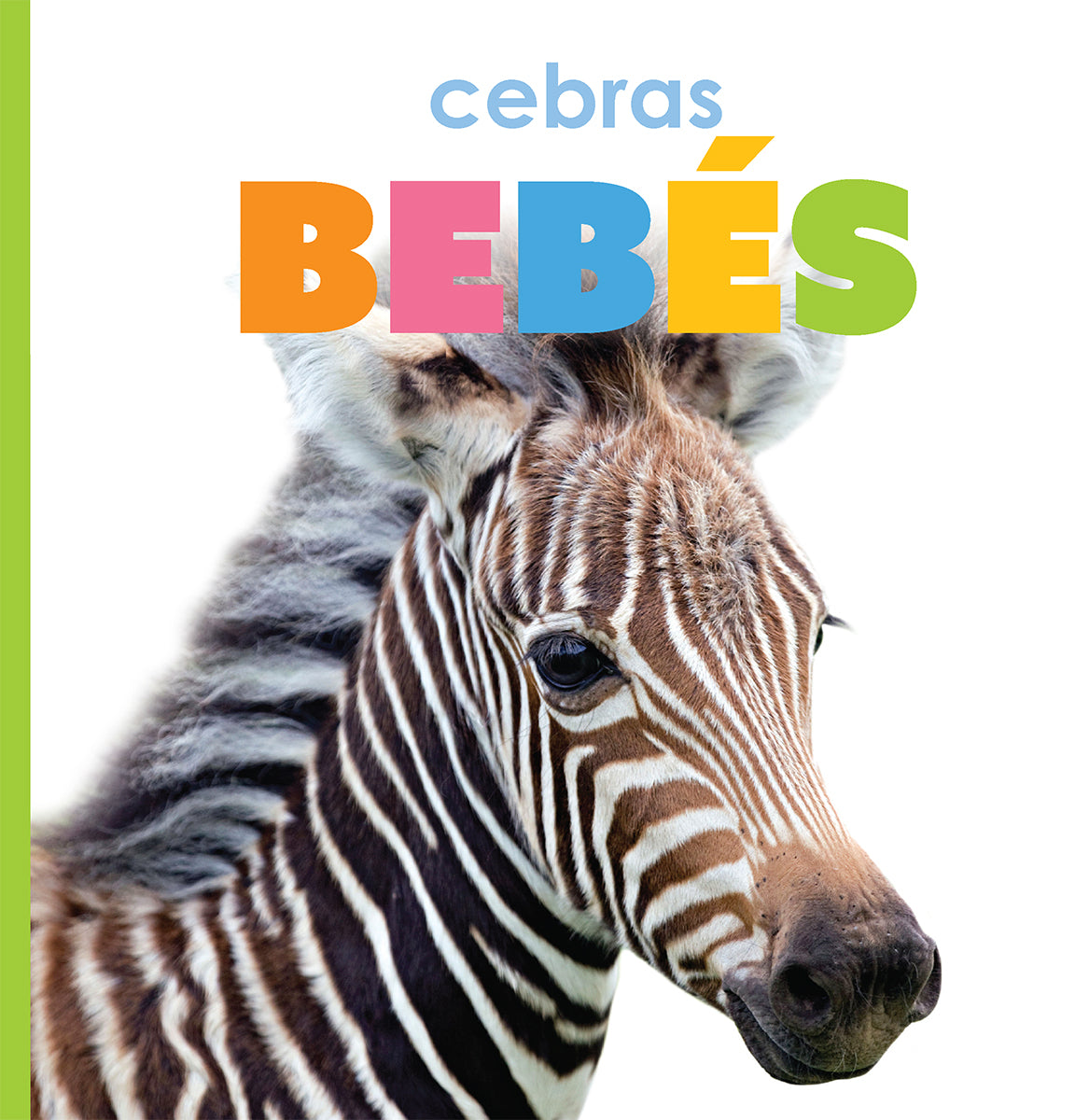 Baby Zebras Book 9781640264618 - Fun and Educational Animal Story for Kids, Perfect for Bedtime Reading and Early Learning