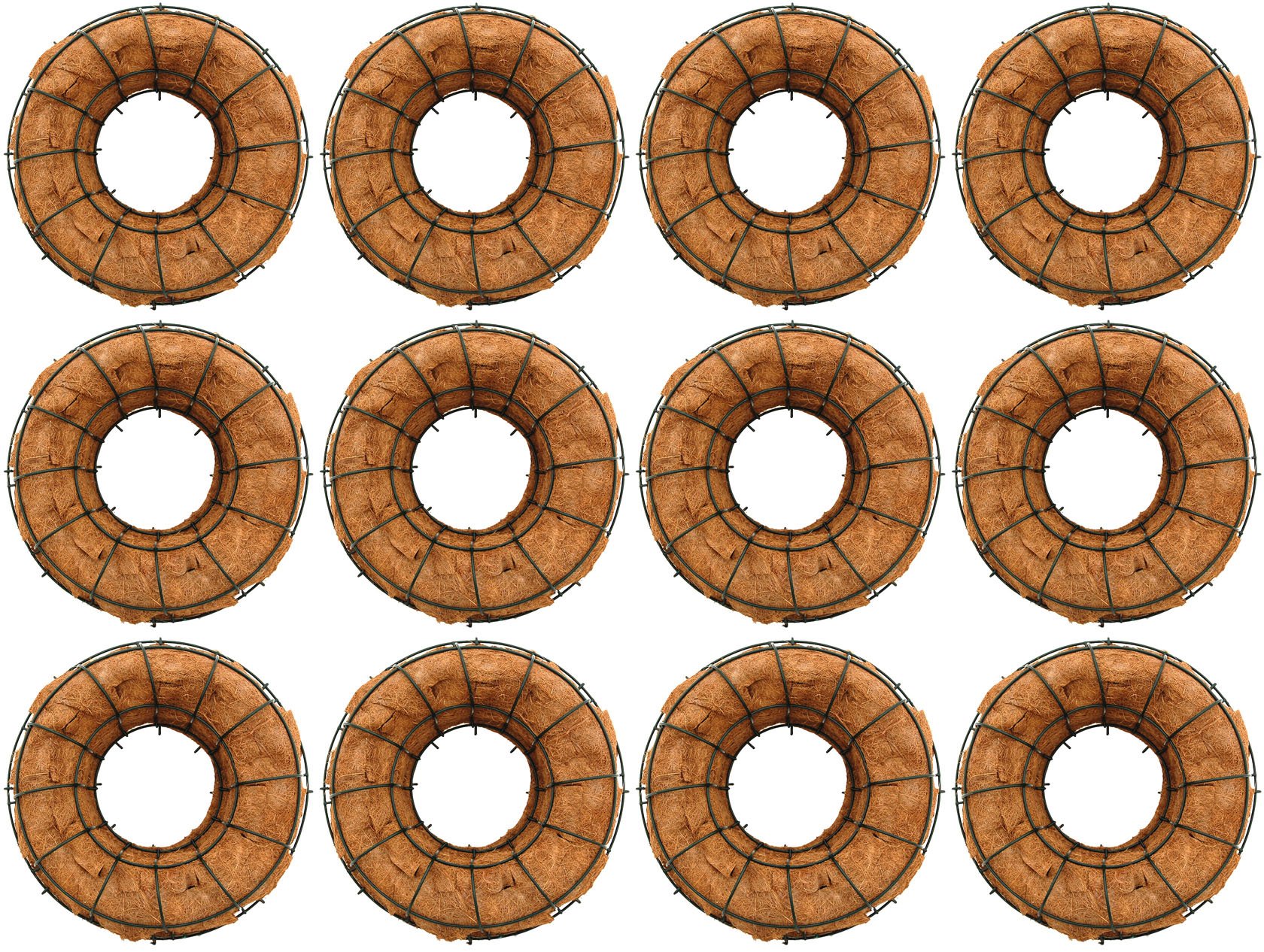 12 Pack - 16