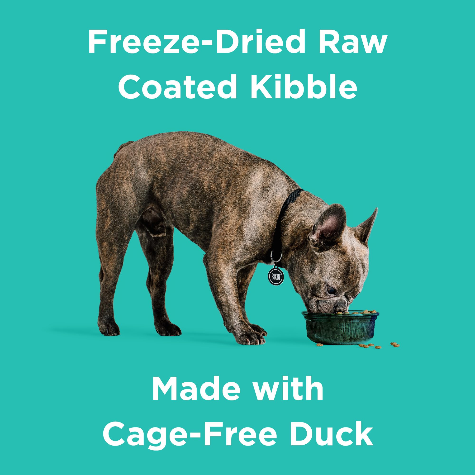 BIXBI Rawbble Freeze-Dried Raw Coated Duck Dog Food - 24 lbs | USA Made with Fresh Meat, No Meat Meal, Corn, Soy or Wheat | Highly Digestible for Sensitive Stomachs | Perfect for Adult Dogs & Active Pets - Kibble with Raw Nutrition for Daily Meals & Training Treats