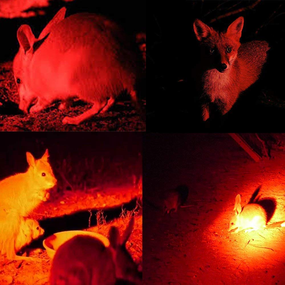 BESTSUN Predator Hunting Light - 350 Yards Zoomable Green & Red LED Flashlight for Night Hunting Coyotes, Hogs, Varmints - Tactical Light for Outdoor, Camping, Security & Emergency Use