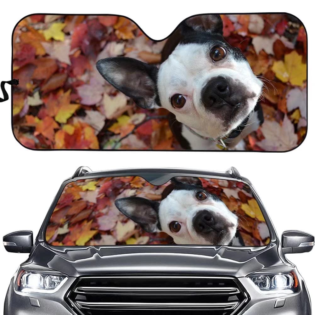 Universal Car Windshield Sun Shade - Cute Bulldog Design UV Protection for Cars, SUVs & Trucks | Blocks Heat & Sunlight to Protect Interior | Perfect for Summer Parking & Pet Lovers