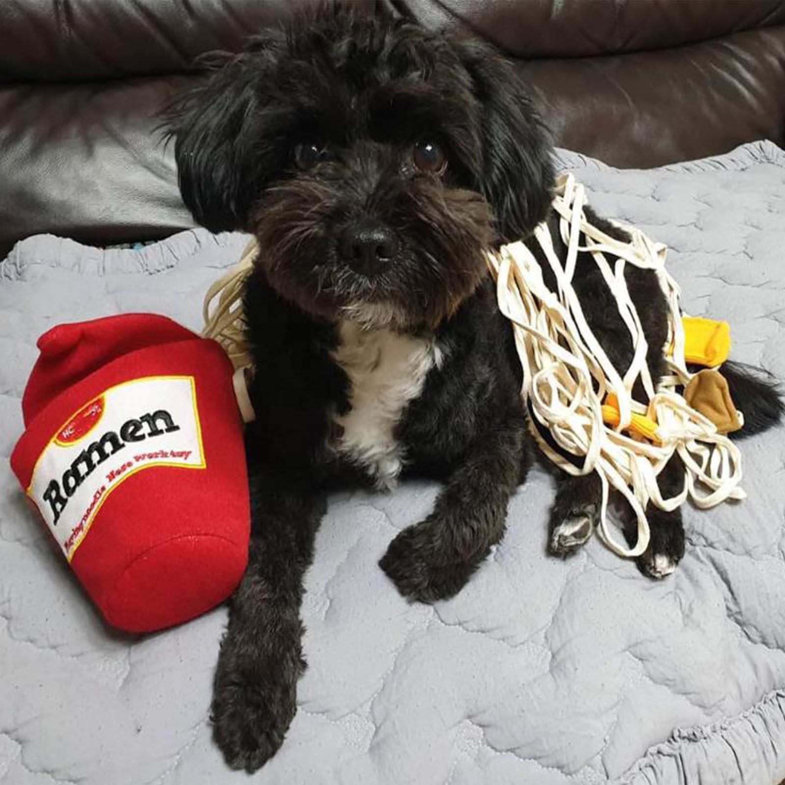 Interactive Dog Puzzle Toys for Small & Medium Dogs - Ramen Noodle Cup Chew Toy with Sniffing & Hide and Seek Game - Plush Nose Work Training Toy (Red) | Perfect for Mental Stimulation & Anxiety Relief
