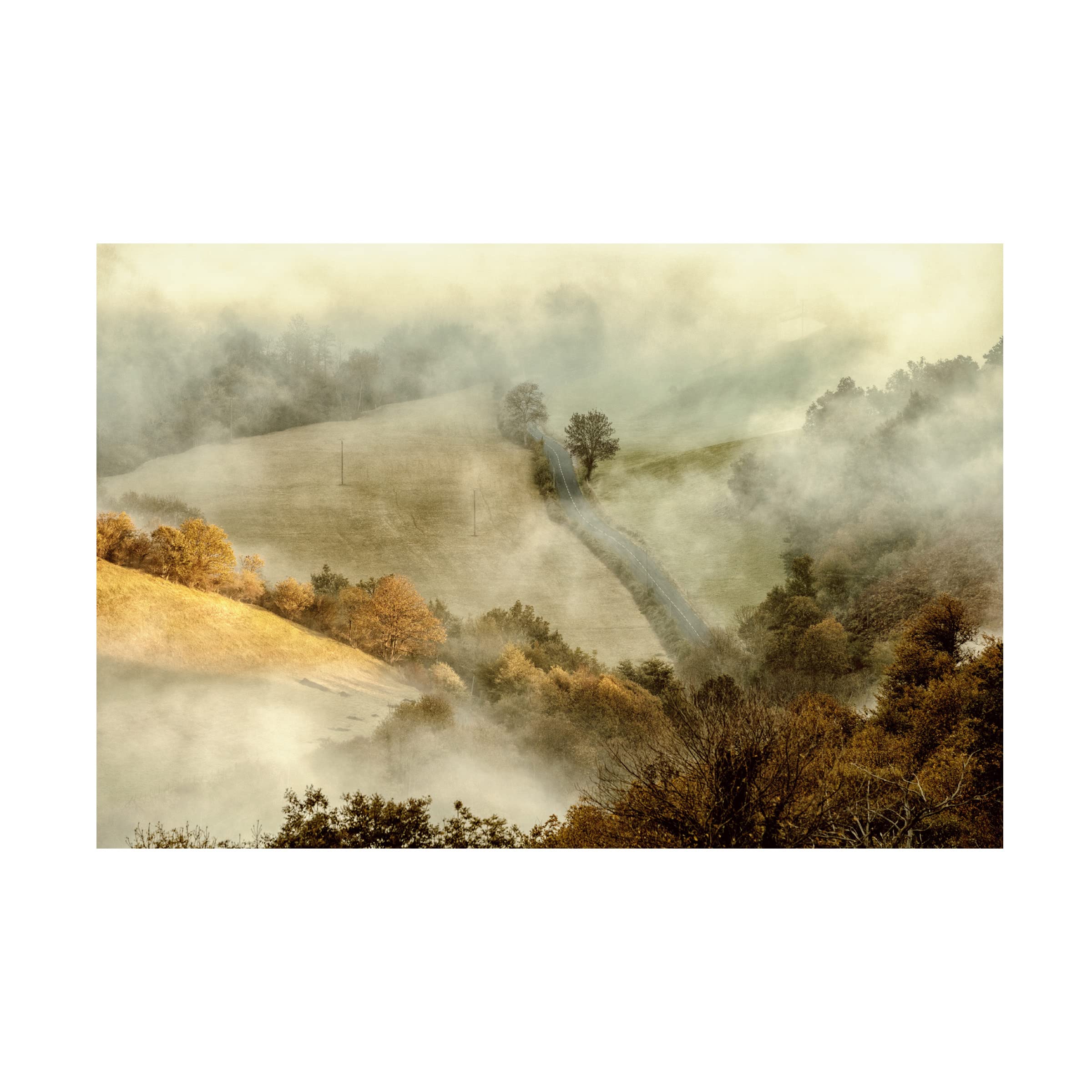 Trademark Fine Art 'Awakening Fields' Landscape Canvas Print by Lars Van de Goor - Stunning Nature Wall Decor for Living Room, Bedroom & Office