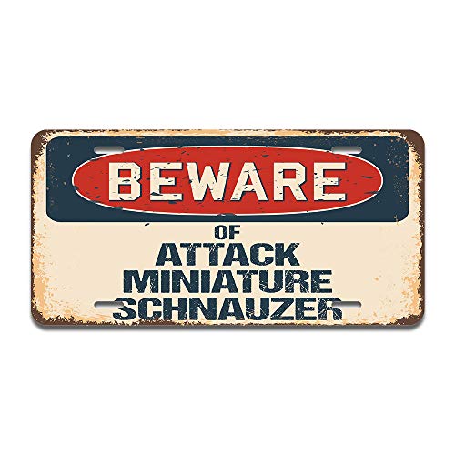 Beware of Attack Miniature Schnauzer