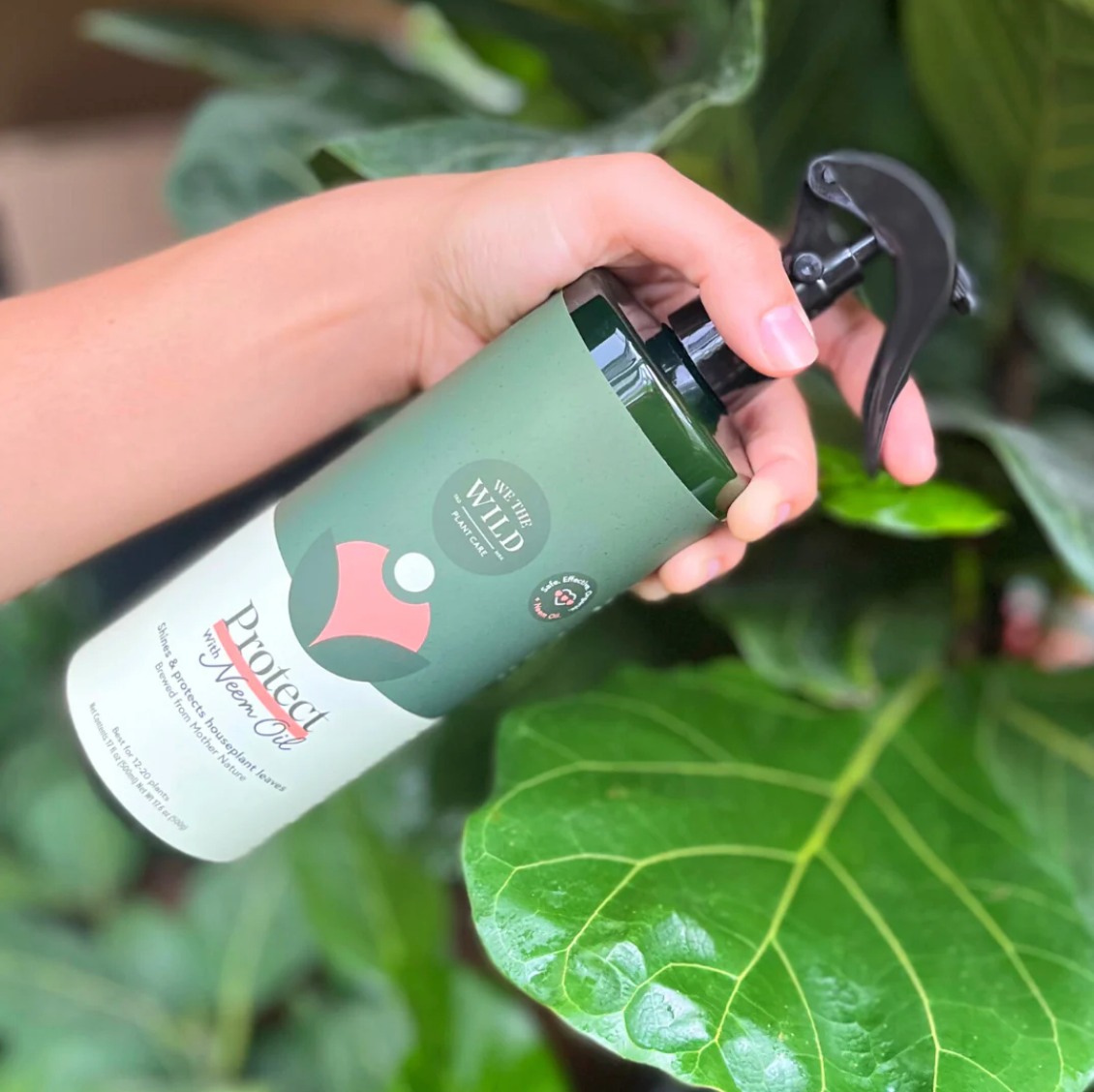 Organic Neem Oil Leaf Protect Spray by We The Wild - Natural Pest Control for Indoor & Outdoor Plants, Houseplants, Garden, and Greenhouse Use