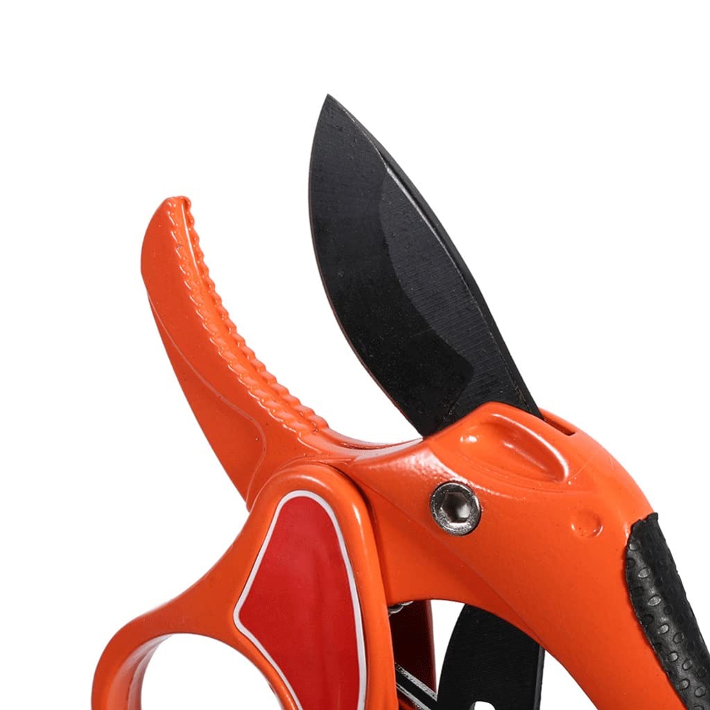 Premium Garden Scissors - 1 Pack Sharp Bonsai Pruning Shears for Fruit Trees, Plants & Gardening | Ergonomic Grafting Tool & Portable Secateurs for Home Garden, Landscaping & Professional Use