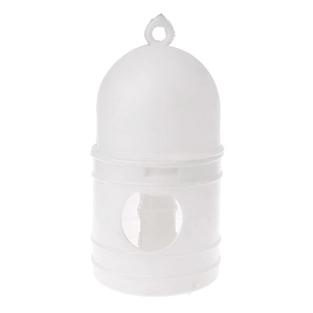 XZJJZ Plastic Pigeon Feeder & Water Dispenser - Durable Pet Drinker Container for Pigeons, Birds - Ideal for Coops, Aviaries & Outdoor Bird Feeding Stations