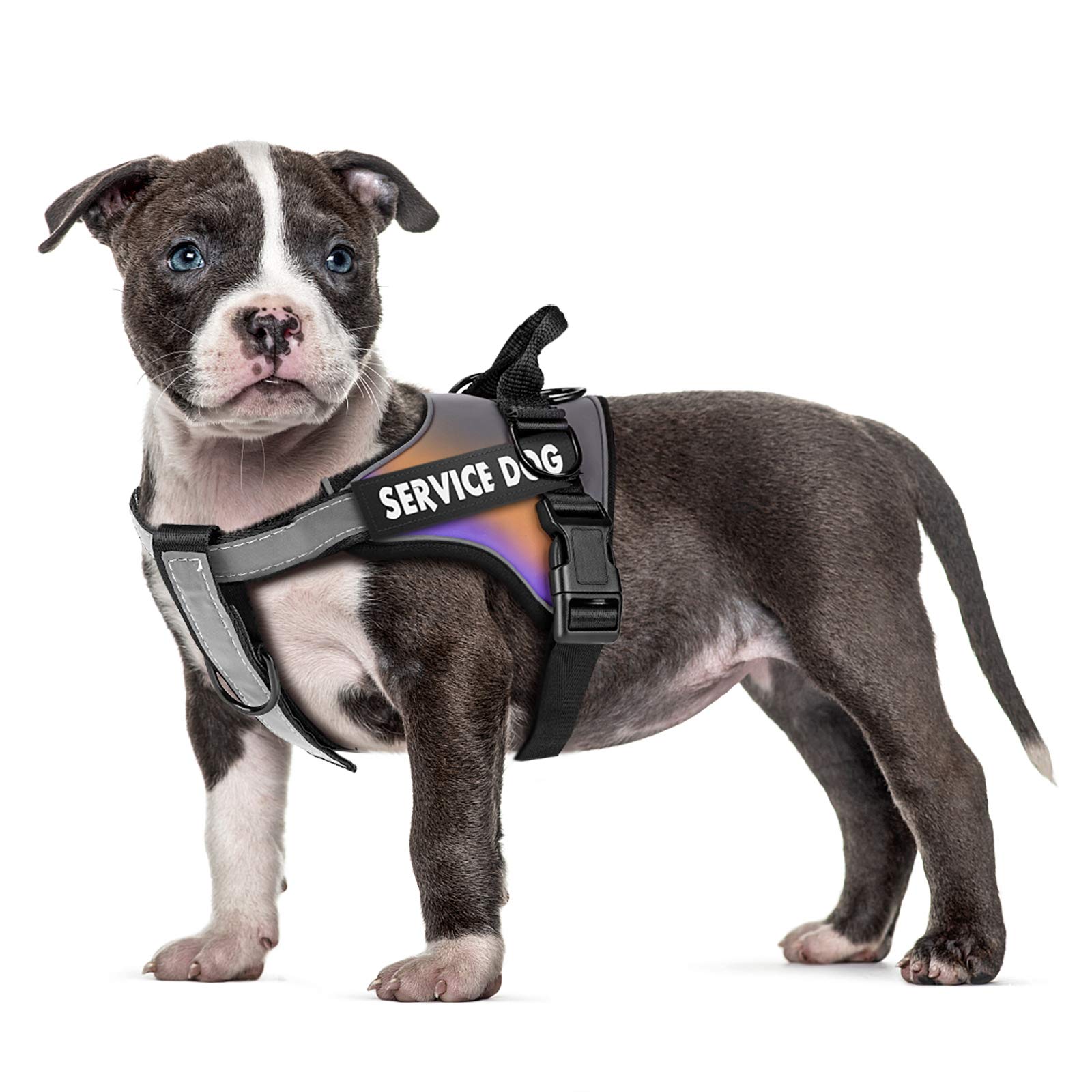 VOOPET Service Dog Harness - Reflective Safety Vest with Adjustable No-Pull Design, Soft Padded Fabric & Leash Clips for Easy Control - Waterproof Outdoor Pet Harness for Walking, Training & Nighttime Safety