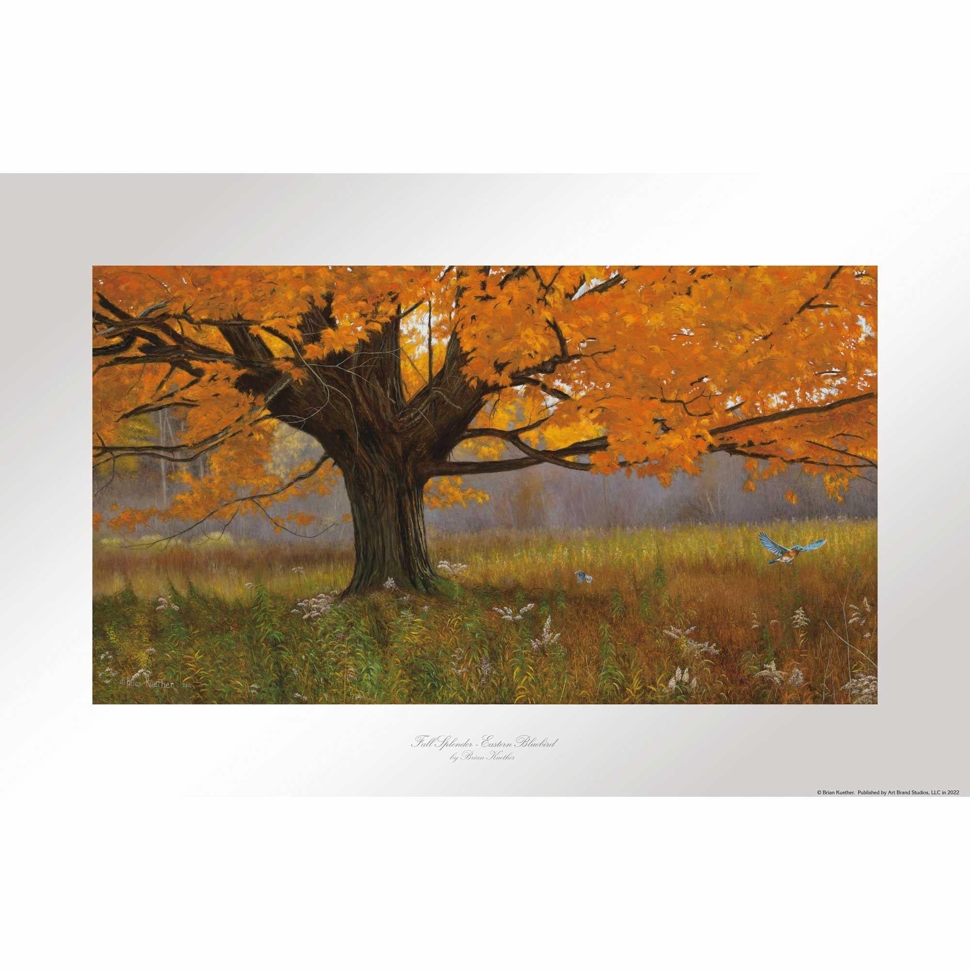 Fall Splendor Eastern Bluebird Paper Print - Vibrant Wildlife Wall Art Decor for Home, Office & Gifts | Nature-Inspired Autumn Decorations
