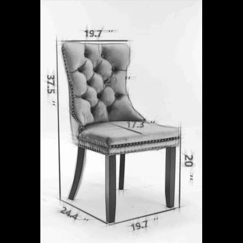 LZ LEISURE ZONE 2-Piece Upholstered Dining Chair Set - Button Tufted Armless Accent Chairs with Back Ring Pull & Nailhead Trim, 20