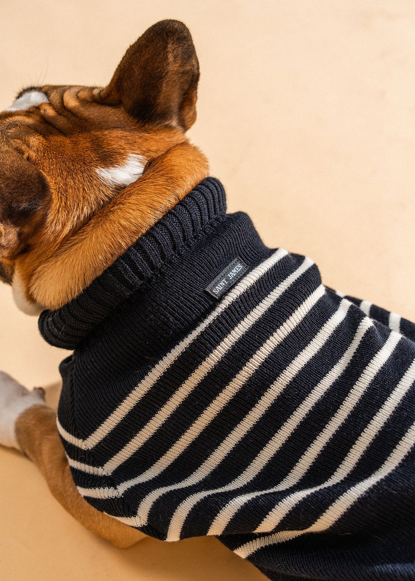 Authentic Breton Striped Dog Sweater - Parisian Pup Wool Blend Sweater for Small & Medium Dogs (Navy/Ivory) - Cozy Winter Outfit for Walks & Photo Shoots