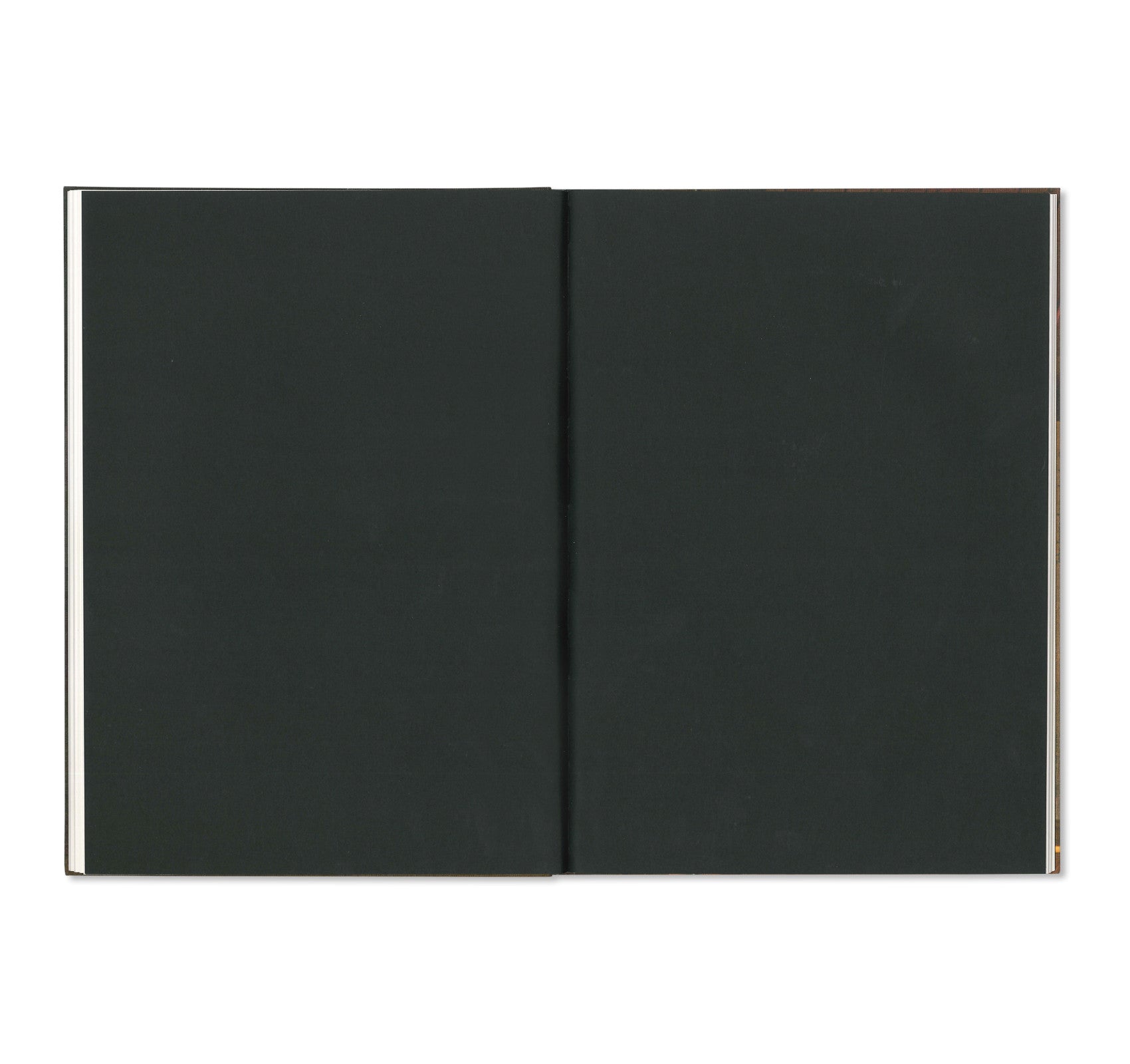 Paris November 11-15, 2015 Photography Book by Paul Graham - Perfect for Art Collectors & Photography Enthusiasts