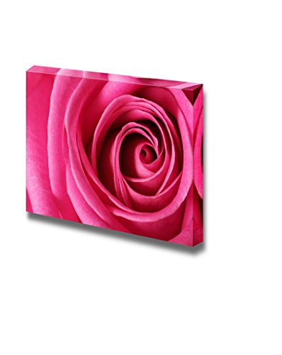 Pink Flower