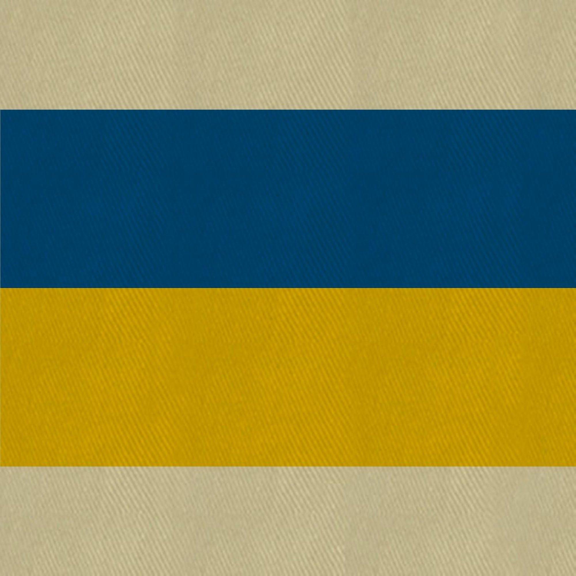 Flag of Ukraine Insulated Canvas Lunch Bag with Adjustable Strap - Patriotic Reusable Lunch Tote for Work, School & Picnics