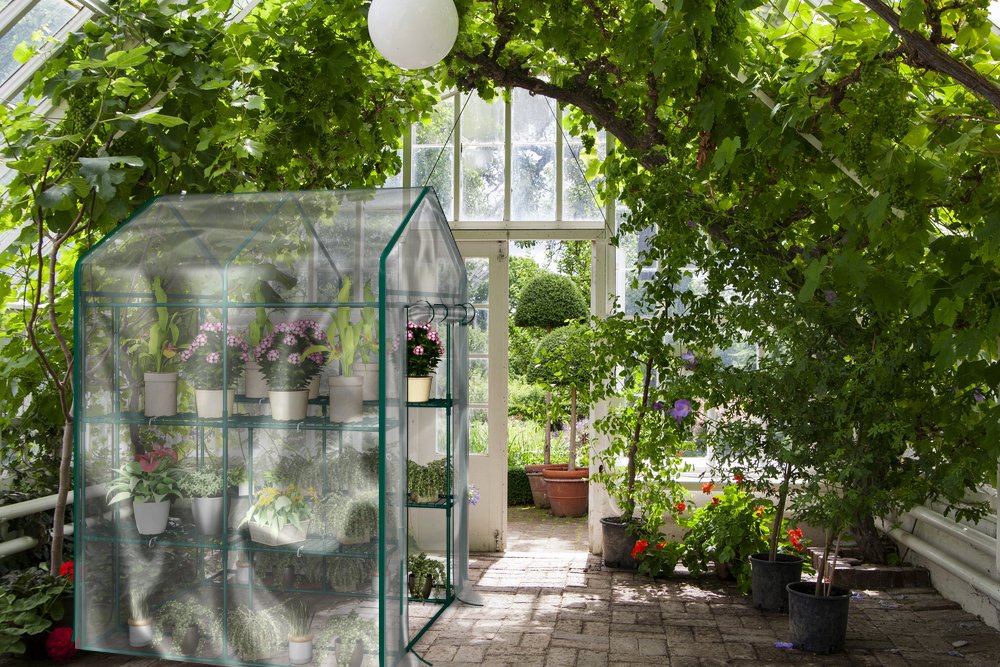 Home-Complete 56 x 56 x 76-Inch Walk-in Greenhouse with 8 Sturdy Shelves & PVC Cover - Indoor/Outdoor Plant Growing Tent for Herbs, Vegetables & Flowers - Perfect for Backyard Gardening, Urban Farming & Winter Plant Protection