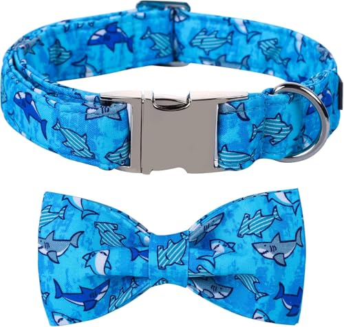 shark bow